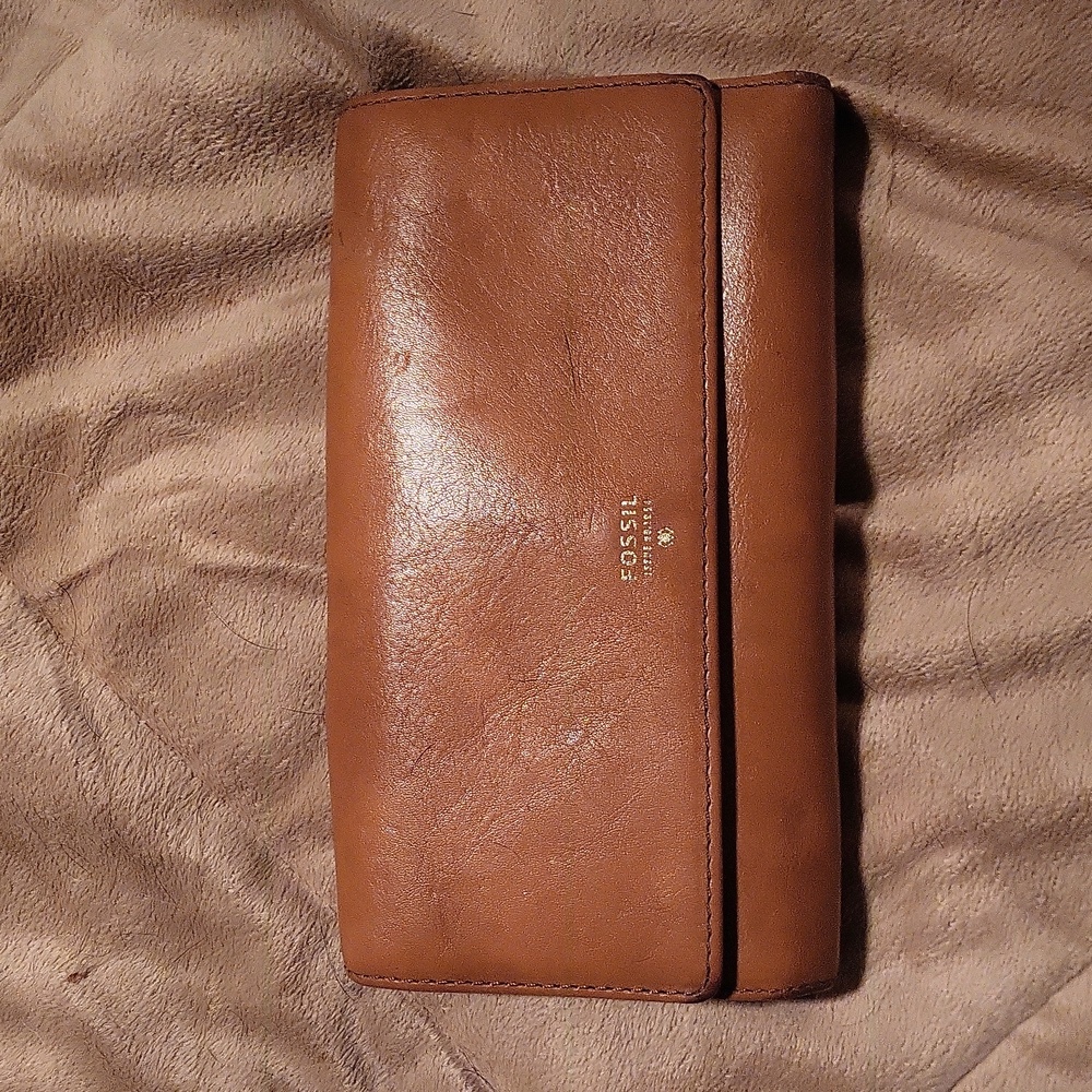 Fossil pocket book